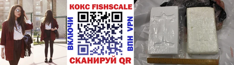 Кокаин Fish Scale  где найти наркотики  Шахты 