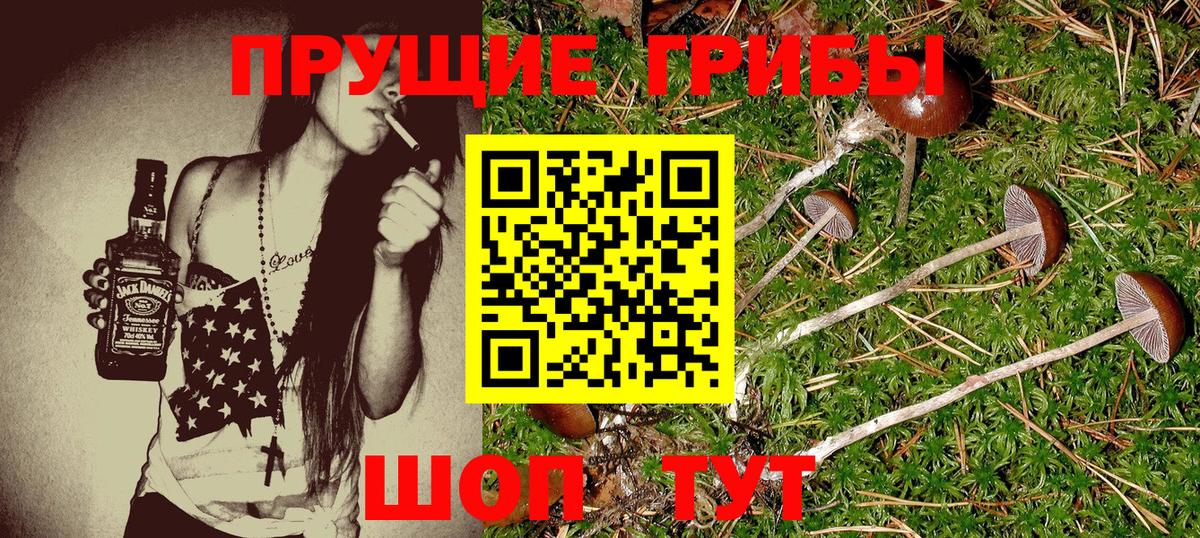 Шахты  Галлюциногенные грибы ЛСД  Вход с VPN 