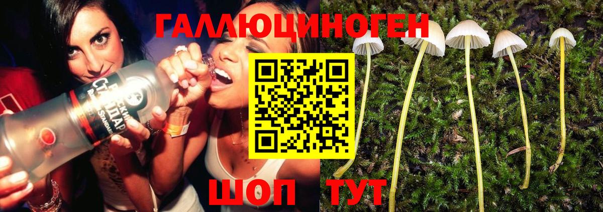 Псилоцибиновые грибы мицелий Шахты